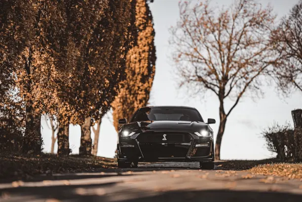 カジノ ライオン ウィンズ Android/iOS アプリ